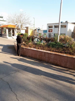 کاشت گل و گیاه در آستانه  فصل بهار