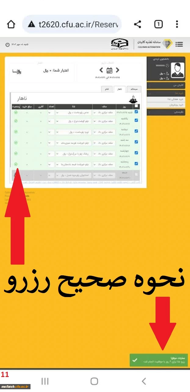 راهنمای تصویری سامانه تغذیه کالینان 12