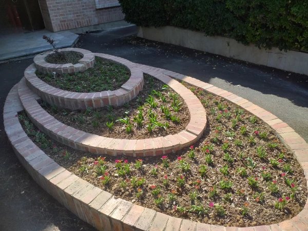 برگی دیگر از خدمات 2