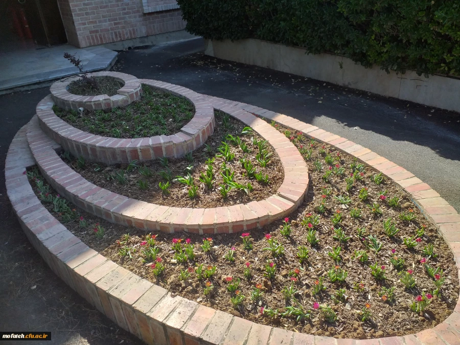 برگی دیگر از خدمات 2