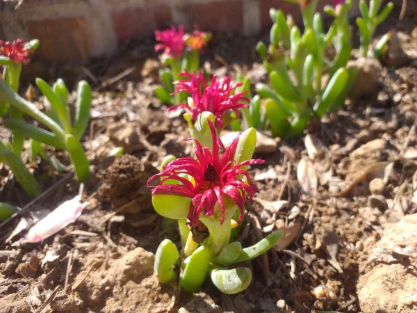 برگی دیگر از خدمات 3