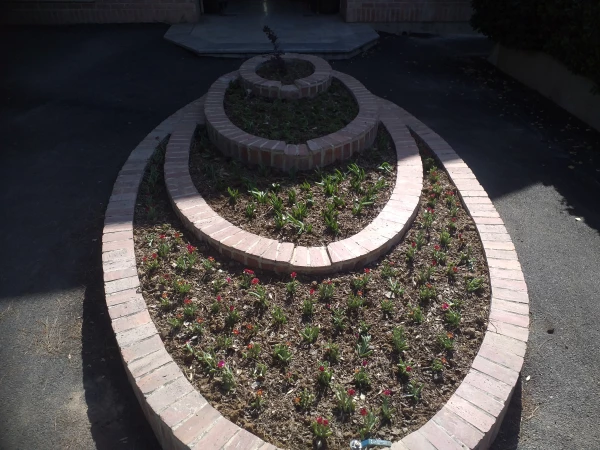 برگی دیگر از خدمات 7