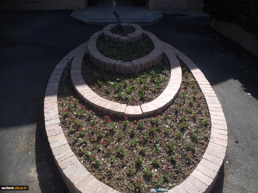 برگی دیگر از خدمات 7