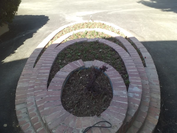 برگی دیگر از خدمات 8