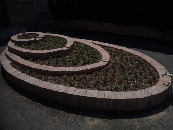 برگی دیگر از خدمات 10