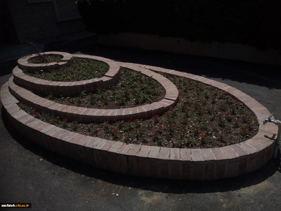 برگی دیگر از خدمات 10