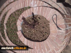 برگی دیگر از خدمات 12