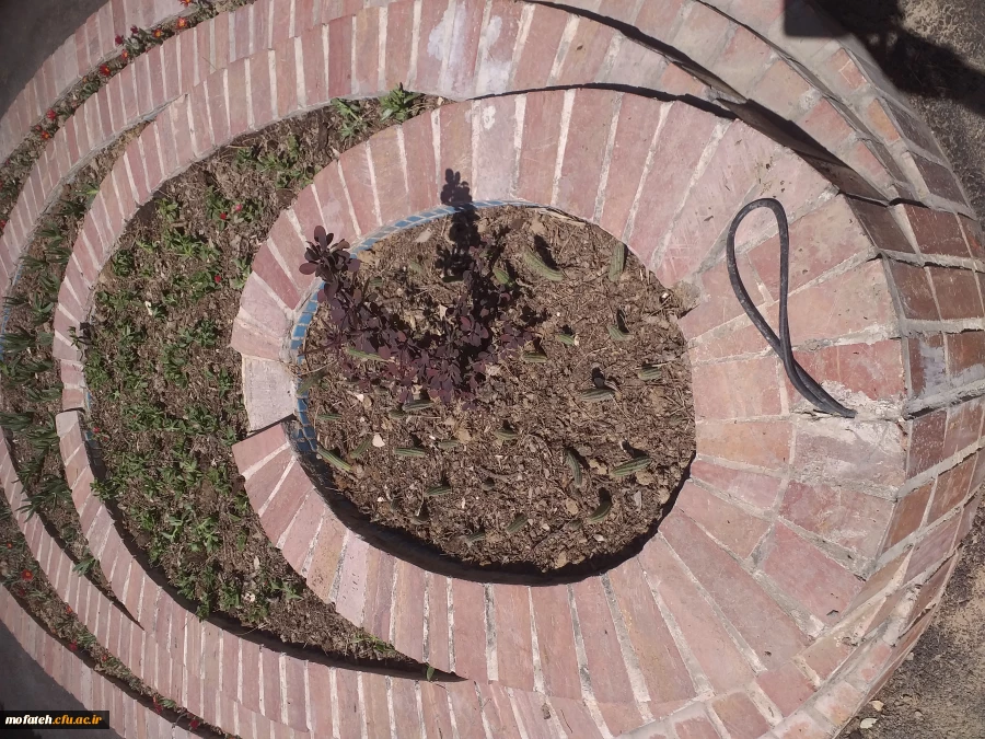 برگی دیگر از خدمات 12