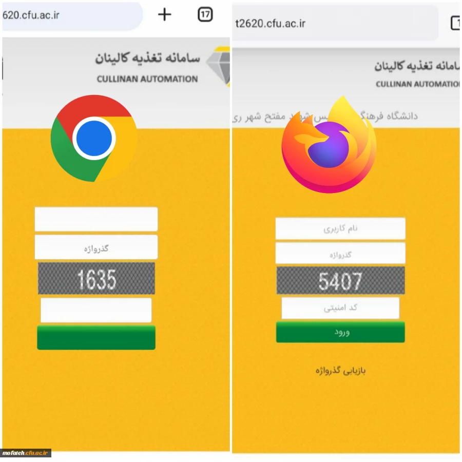 سامانه تغذیه کالینان 2