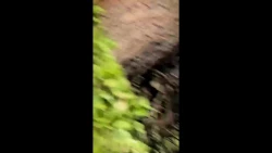 ین روزا چه خبر از پردیس شهید مفتح شهر ری؟!..